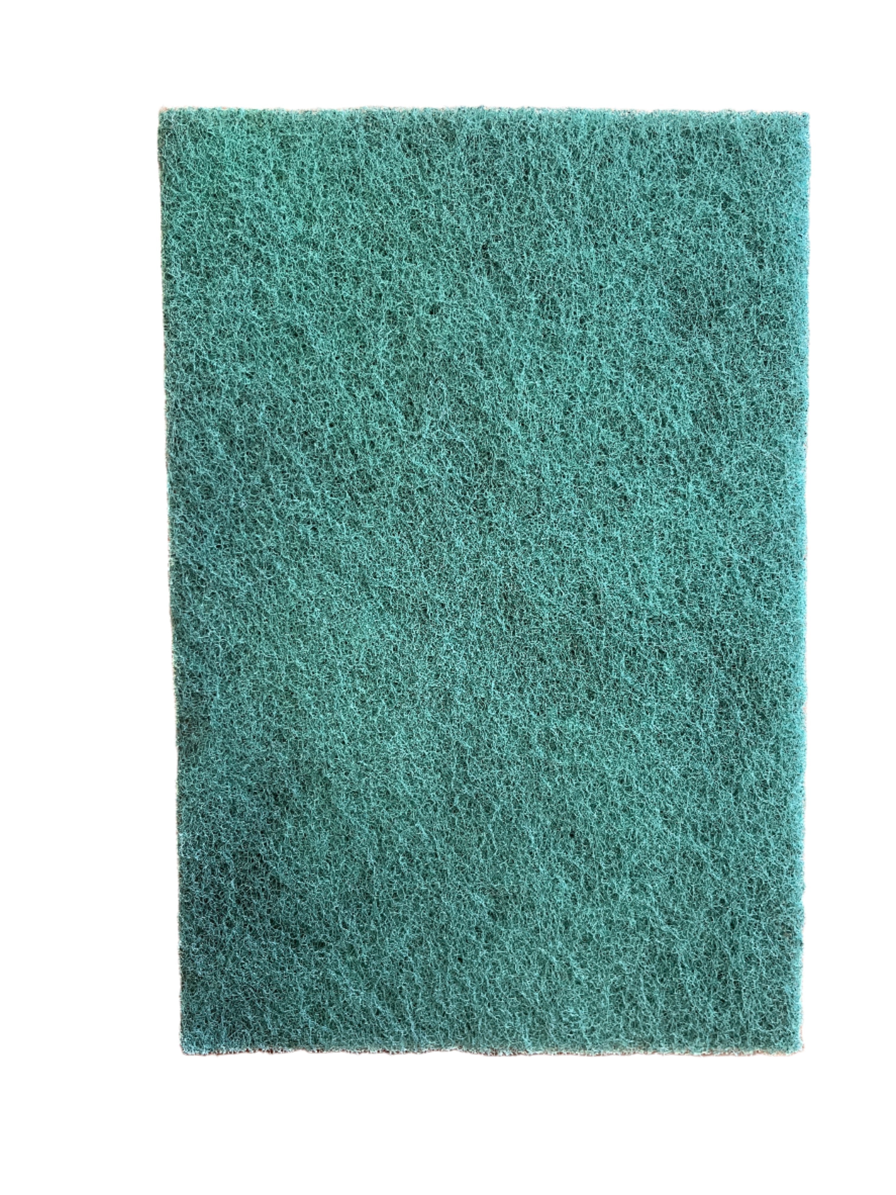 Scour Pad Heavy Duty 6" x 9"
