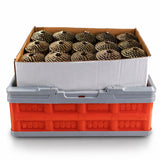 Red and gray cooler with a cardboard box on top filled with pine cones.