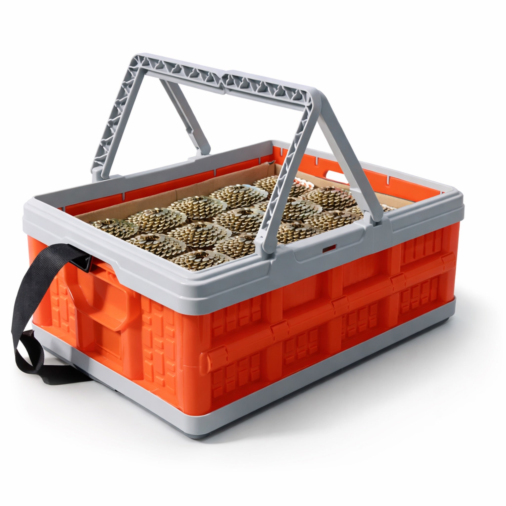 The Nail Caddy - Complete Coil Nail Organizer with Non-Slip Base & Shoulder Strap