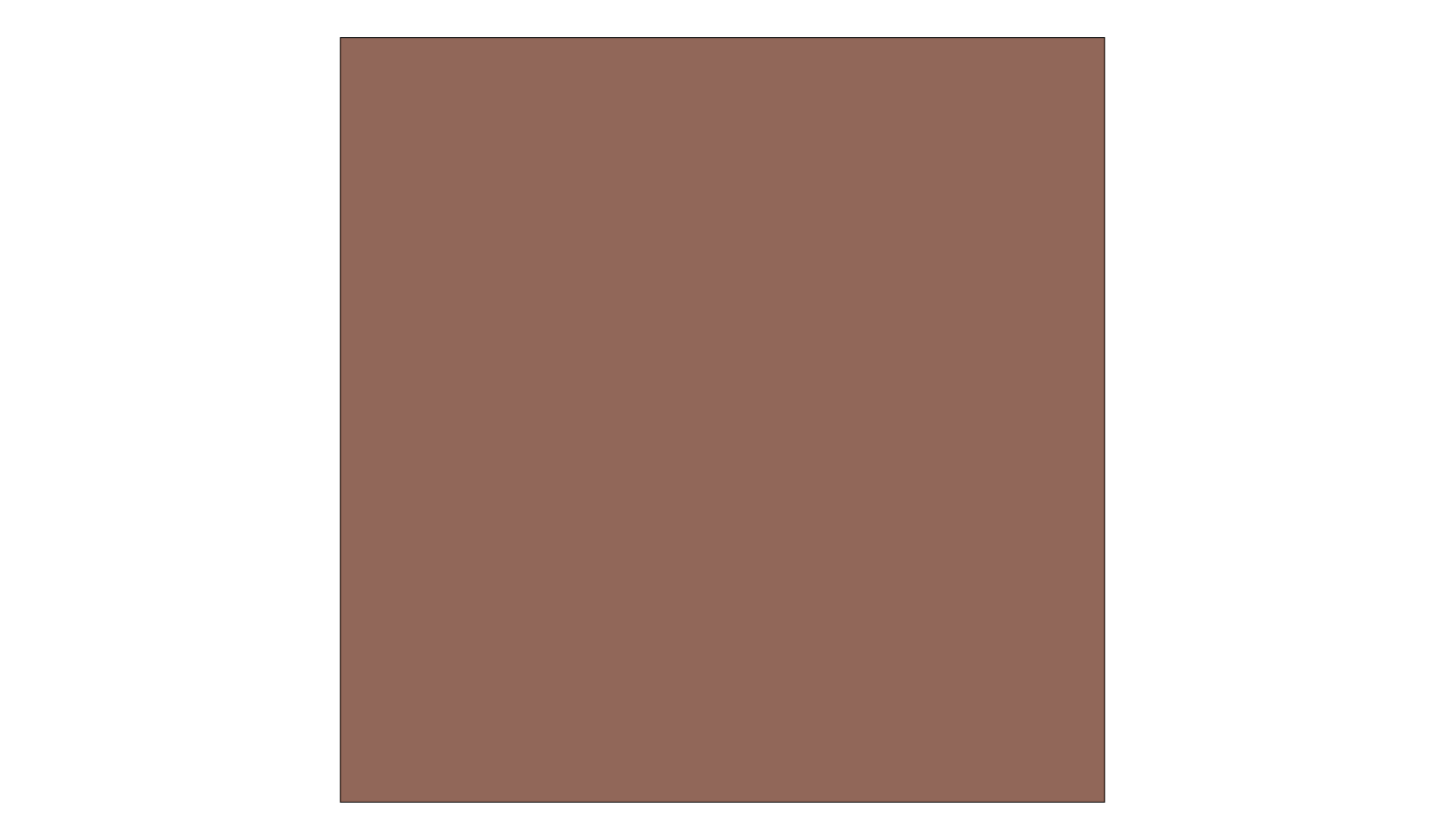 Premium Roof Spray Paint - Barkwood