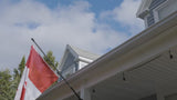 Gutter Saver PRO - Ladder Stabilizer & Gutter Protector for Extension Ladders